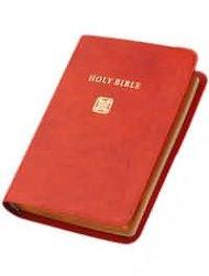 NIV Pocket Bible: Russet Calfskin leather, British Text