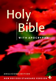 NRSV Popular Text Bible with Apocrypha: Hardback