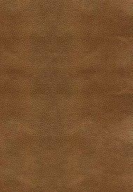 NKJV Study Bible: Bronze, Bonded Leather