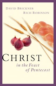 Christ In The Feast Of Pentecost Pb