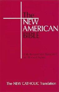 NAB Student Bible: Red, Paperback