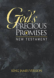 KJV New Testament : Paperback