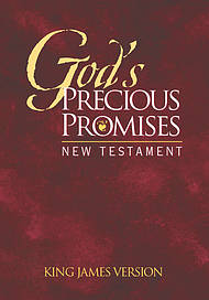 KJV New Testament : Burgundy Paperback