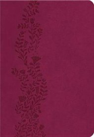 Nkjv Ultraslim Lthlk Cranberry Ss