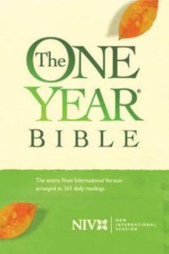 One Year Bible Compact Edition NIV 