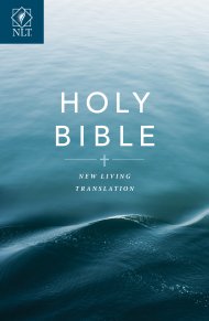NLT Gift and Award Bible: Blue, Paperback