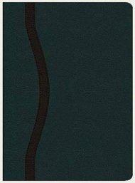 NASB Life Principles Study Bible: Teal/Charcoal, Bonded Leather, Thumb Index
