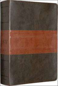 ESV Study Bible: Forest / Tan, Trail Design, TruTone