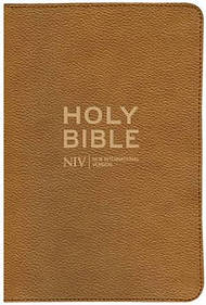 NIV Thinline Traveller's Bible