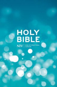 NIV Popular Bible