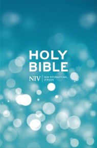 NIV Popular Bible Hardback Pack of 20 