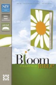 NIV Compact Daisy Bible