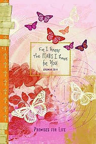 Pocket For I Know The Plans Pb