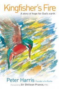 Kingfishers's Fire