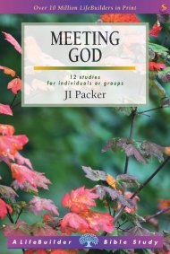 Lifebuilder Bible Study: Meeting God