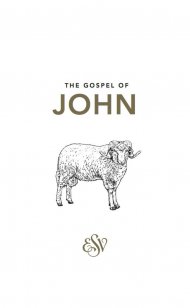 ESV Johns Gospel