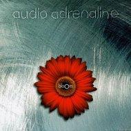 Bloom Cd