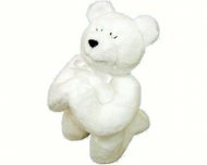White Praying Holy Bear