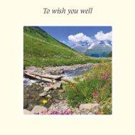 To Wish You Well Card - Single