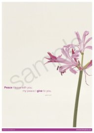Peace Poster