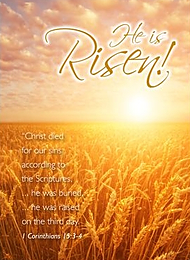 He is Risen Cards - Pack of 4