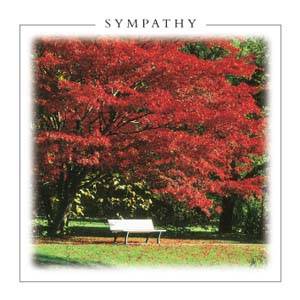 Sympathy Card - Pack Of 6