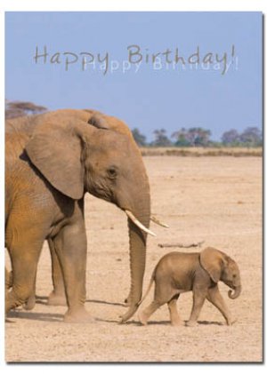 Happy Birthday Cards - Pack of 4
