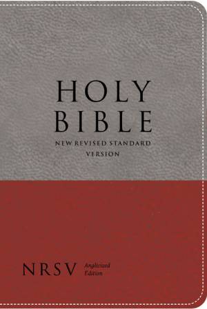 NRSV Compact Bible: Two-tone Imitation Leather, Anglicized