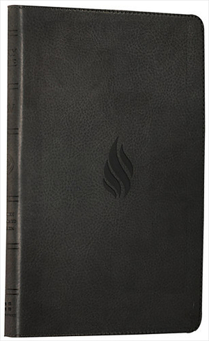 ESV Thinline Bible: Midnight Flame, Imitation Leather, Anglicised