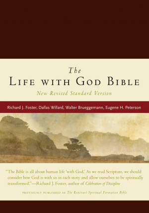 NRSV Life With God Bible: Burgundy, Imitation Leather