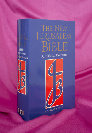 NJB Study Bible: Blue, Hardback