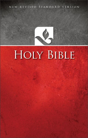 NRSV Ministry/Pew Bible: Paperback