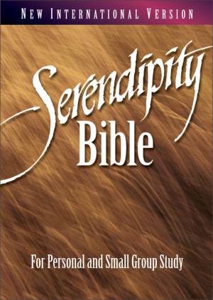 NIV Serendipity Bible: Hardback