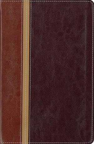 Message Parallel Study Bible-PR-NIV/MS-Numbered Personal Size