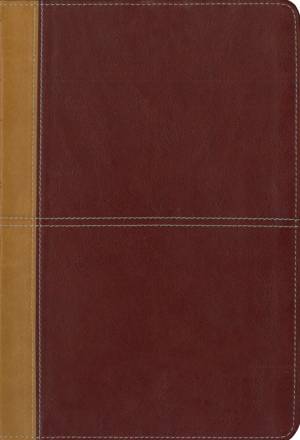 KJV/Amplified Large Print Parallel Bible: Camel/Rich Red: Italian Duo-Tone�, 