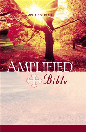 Amplified Bible: Hardback