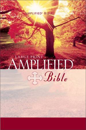 Amplified Large Print Bible: Hardback