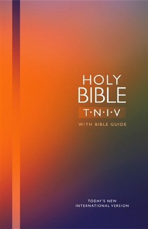 TNIV Bible: Gold, Hardback, Bible Guide (British Text)