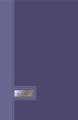 TNIV Youth Bible:Blue, Soft-Tone Hardback (British Text)