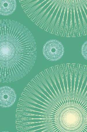TNIV Personal Bible: Green, Satin Spirals, Hardback, British Text
