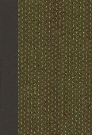 NIV Compact Bible: Green, Duo-Tone, British Text
