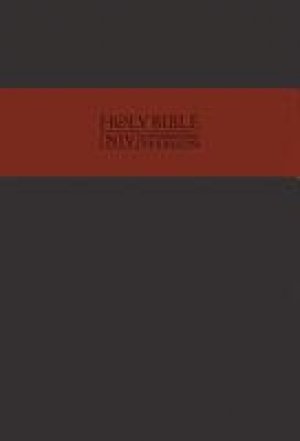 NIV Traveller's Bible: Charcoal & Red, Leathersoft 