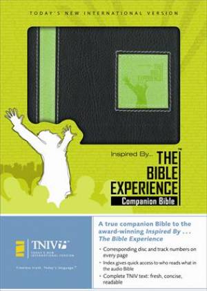 TNIV Bible Experience Companion Bible: Paperback