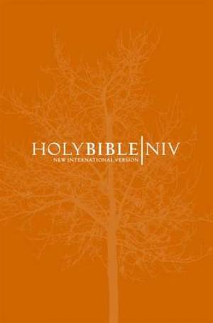 NIV Popular Bible: Orange, Paperback (British Text)