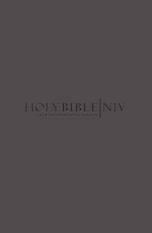 NIV Popular Bible: Grey, Soft-Tone
