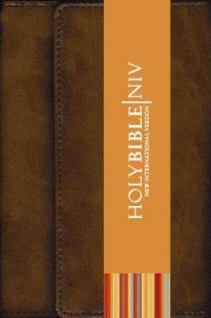 NIV Pocket Bible