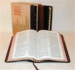 KJV Concord Reference Bible: Dark Burgundy, Calfskin, Concordance, Dictionary and Family Record