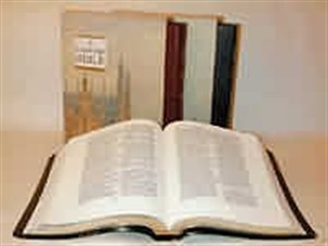 KJV Concord Wide-Margin Reference Bible:  Black, Calfskin, Concordance