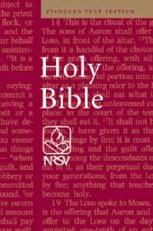 NRSV Bible: Burgundy, Hardback
