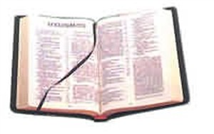 NIV Popular Cross-Reference Edition Black Calfskin 